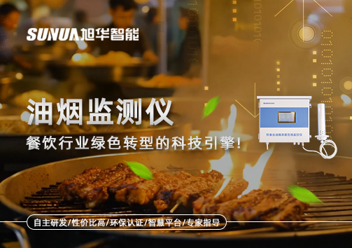 油烟监测仪：餐饮行业绿色转型的科技引擎！
